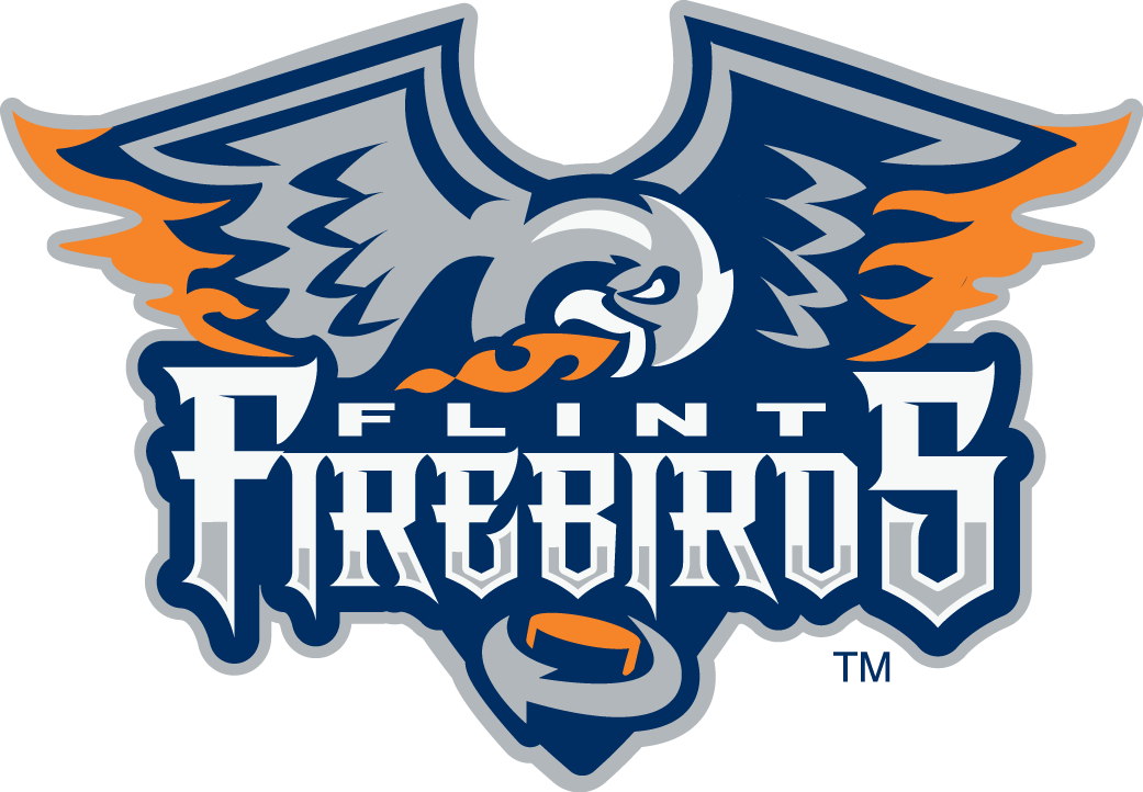 Flint Firebirds 2015-Pres Primary Logo iron on transfers for T-shirts